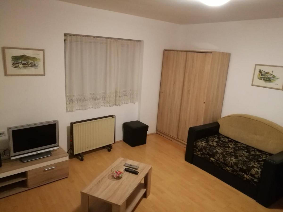 Apartment Mina ノヴィ・サド エクステリア 写真